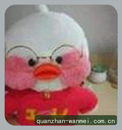 王强